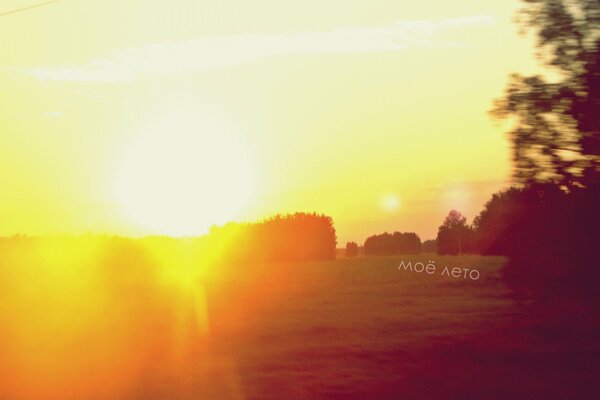 Luce intensa del sole in estate intorno agli alberi