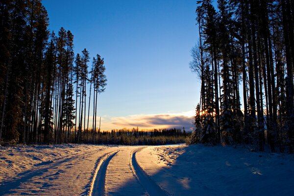 Camino nevado al atardecer en el bosque de invierno