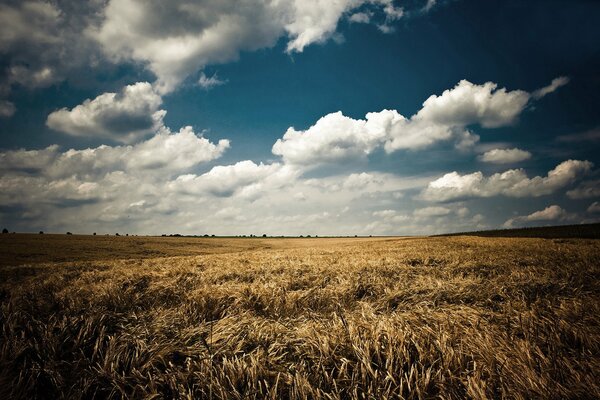 Nuvole sopra il campo. Paesaggio colorato