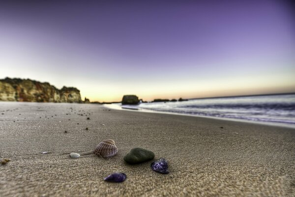 Lay large seashells on the beach