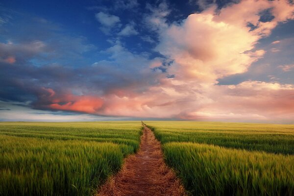 Ein Feldweg, der über den Horizont hinausgeht