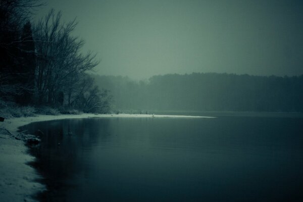 Early morning in winter in the forest