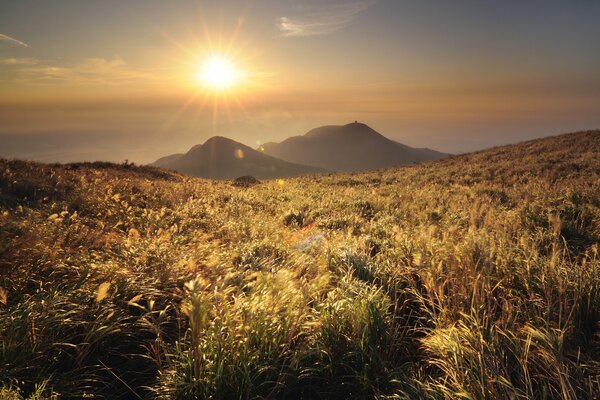 Sonnenuntergang auf dem Hintergrund von Bergen und grünem Gras