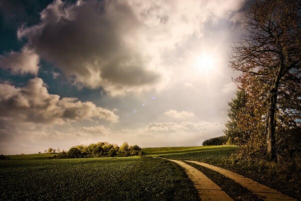 Large clouds over the path in green grass and trees