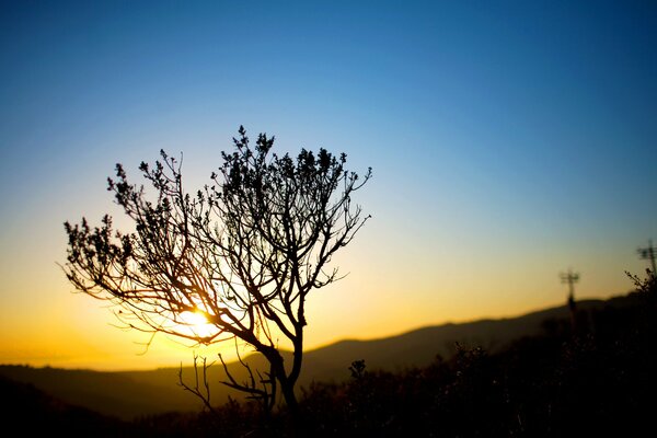 Coucher de soleil à pustini