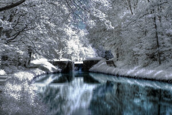 Paesaggio di alberi in neve e fiume