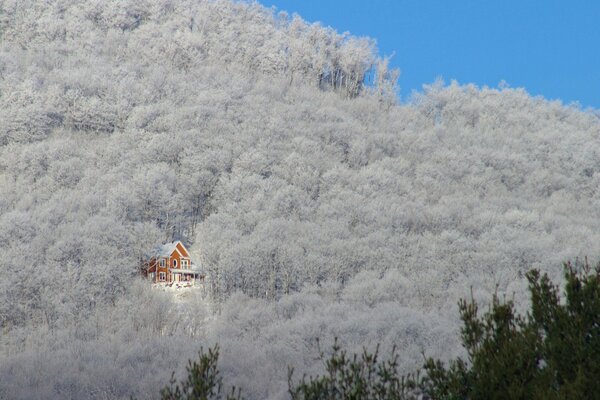 A house on the mountainside