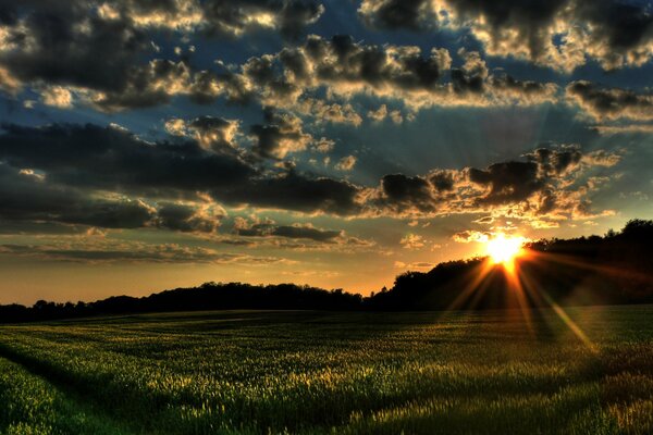 Bella natura e tramonto notturno