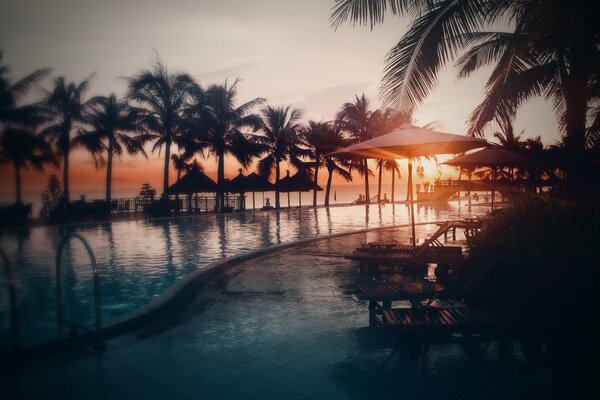 Photo of a pool with palm trees on the background of sunset