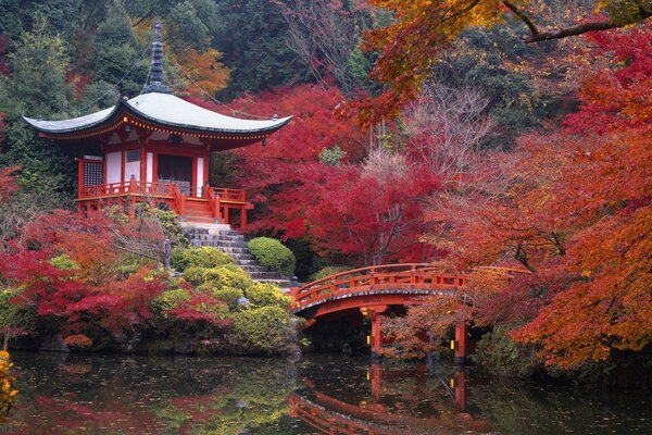 Beauté japonaise de la nature et de l architecture