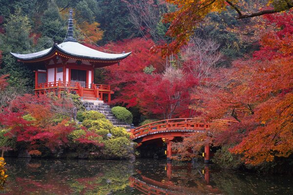 Japońskie piękno przyrody i architektury