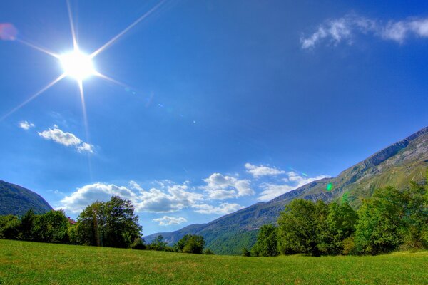 Ciel bleu et Champs verts avec forêt