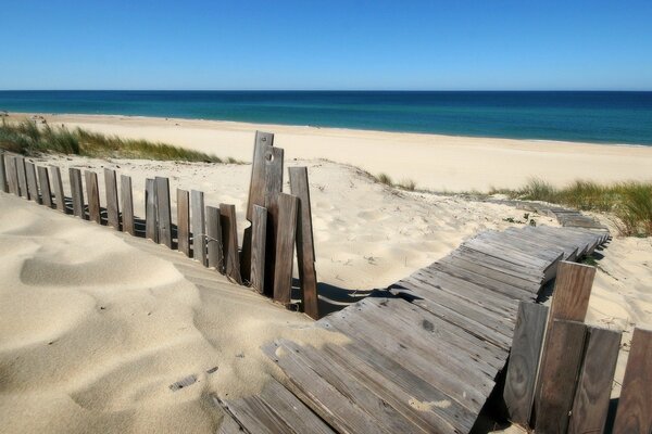 Cerca de madera cerca del océano azul en la playa