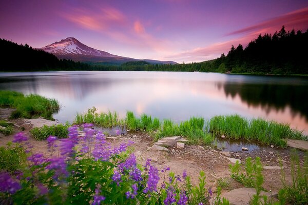 Beau paysage dans les montagnes au coucher du soleil