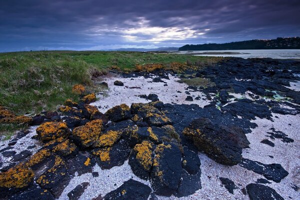 Beautiful stones next to green grass