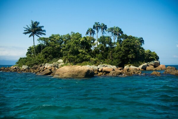 An island with palm trees in the blue ocean