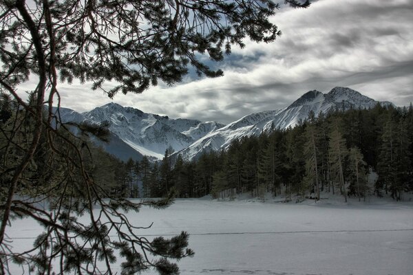 Beautiful nature. Snowy Mountains