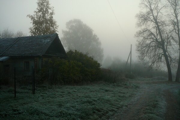 Rustic landscape in fog