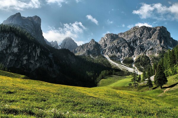 Green glade on the background of mountains