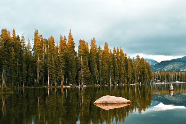 Green forest on the river bank. Stones in the river. Reflection of the forest and sky in the river