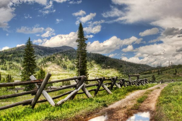 Uneven forest road with puddles and fencing