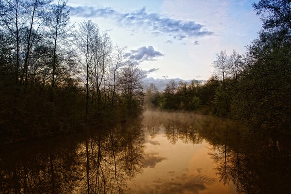 A river in the middle of a forest with an evening misty haze and the reflection of trees