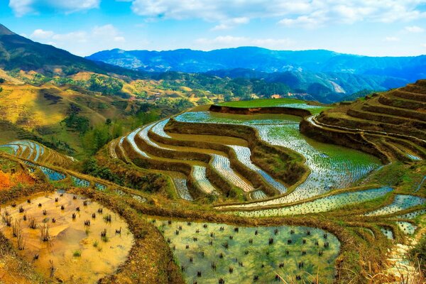 Plantaciones de arroz en las montañas de China