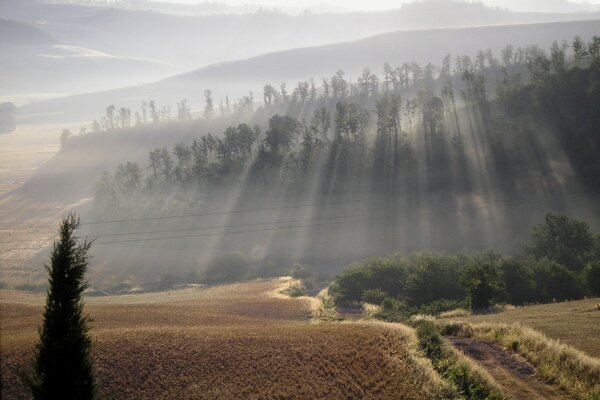 Bella mattina nebbiosa sulla collina