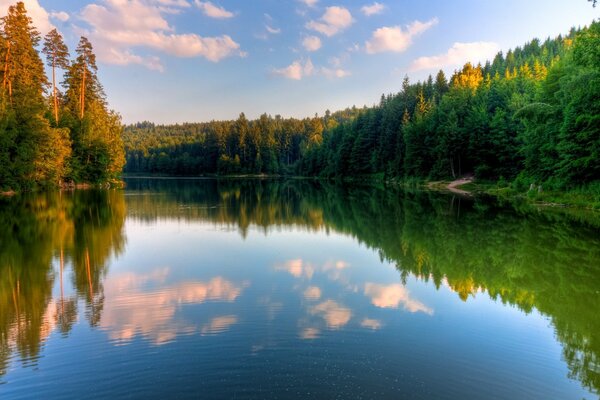 Schöner See mit Reflexion von Bäumen