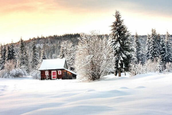 Casa de invierno en el borde del bosque