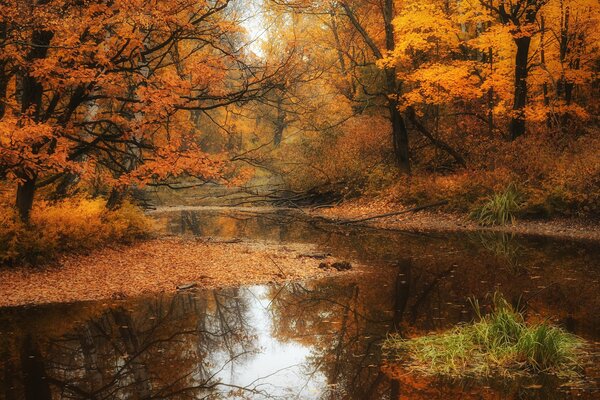 Crimson Park in the rays of the autumn sun