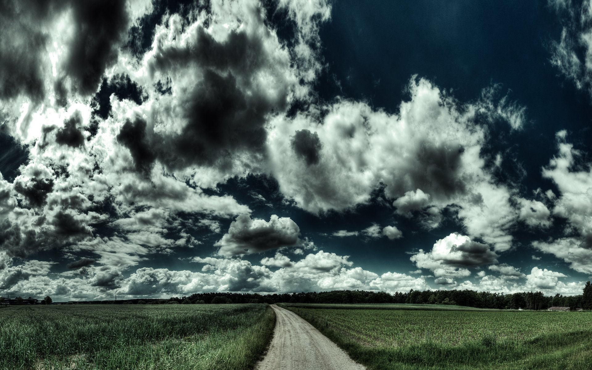 nature landscape the field road