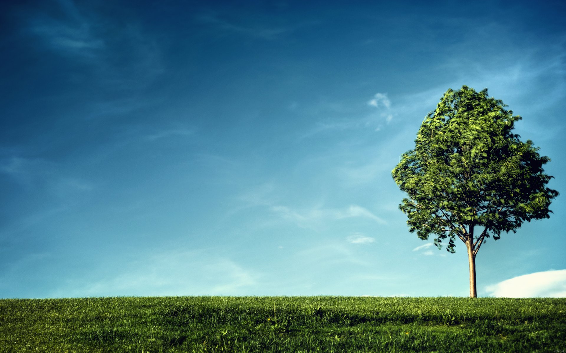 landschaft schönheit himmel wolken wind saubere luft baum laub blätter grün zweige zweige stamm pflanzen leben gras land hang horizont-ansicht bäume grün hügel