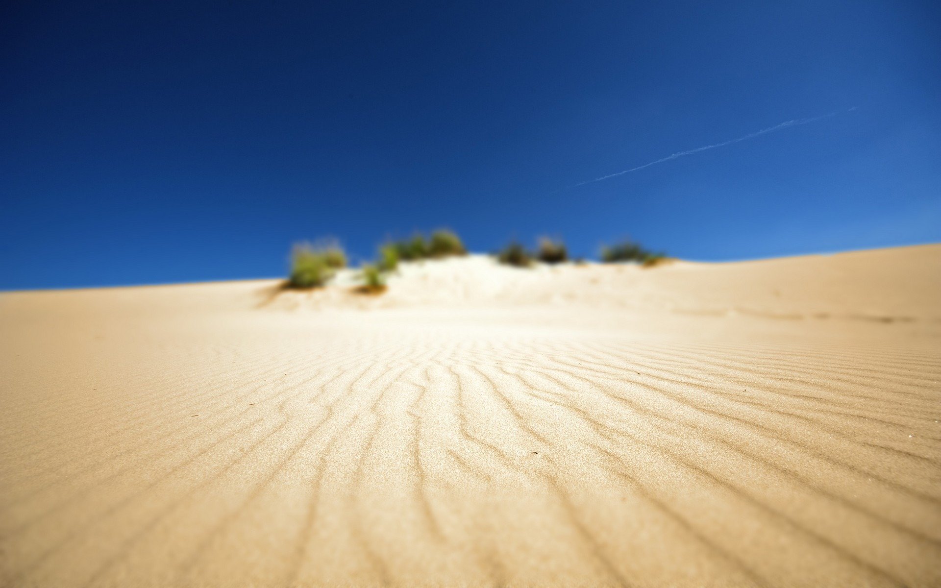 desierto playa arena paisajes áfrica foto