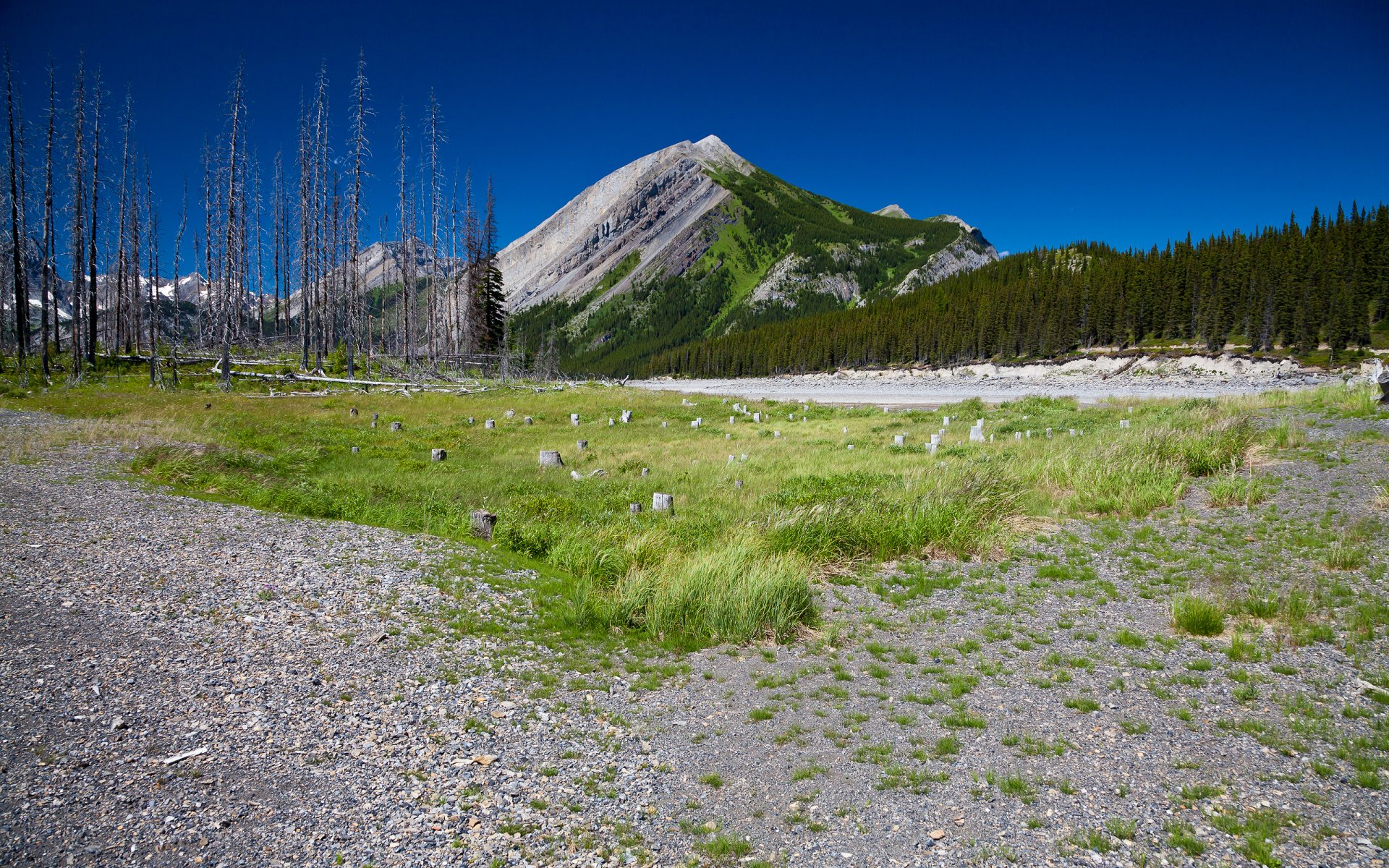 landscape mountain grass nature sky