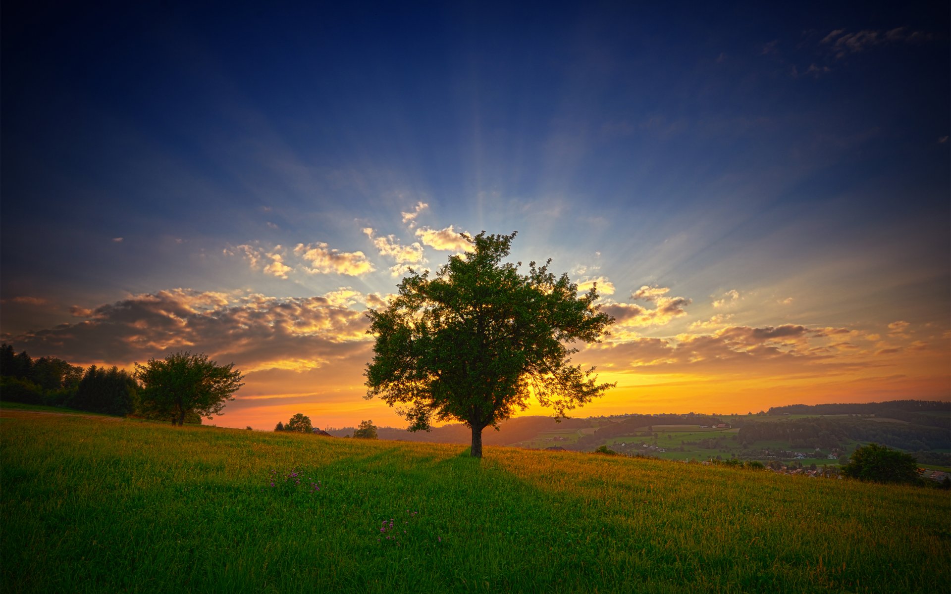 paysage ciel aube soleil rayons nuages matin fraîcheur arbre pente herbe verdure été fleurs nature vue vue pente collines matin été frais lightray