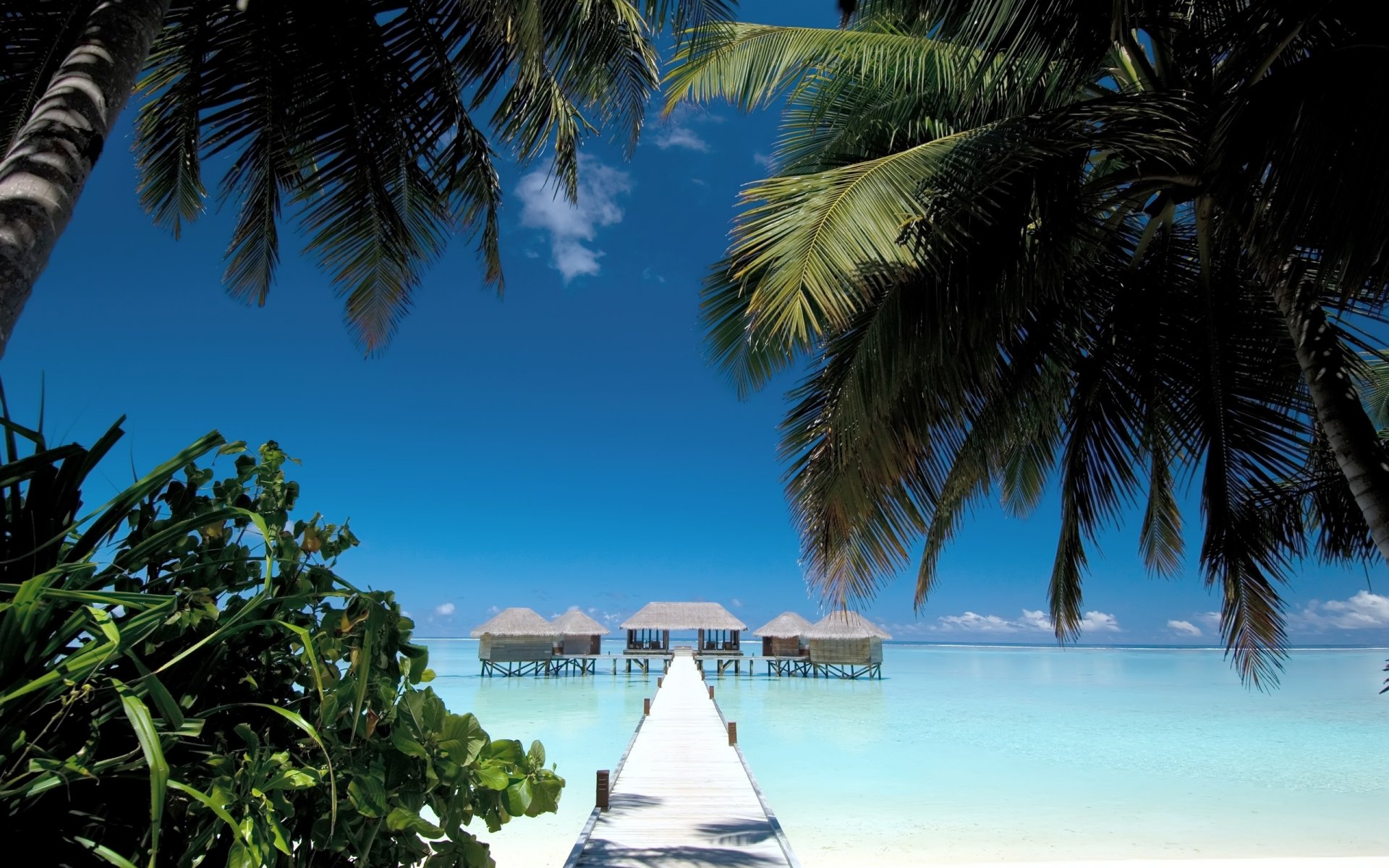 landscape view nature maldives bridge palm trees summer beach sand shore water sea ocean houses sky view summer sky sands coast bridges maldive