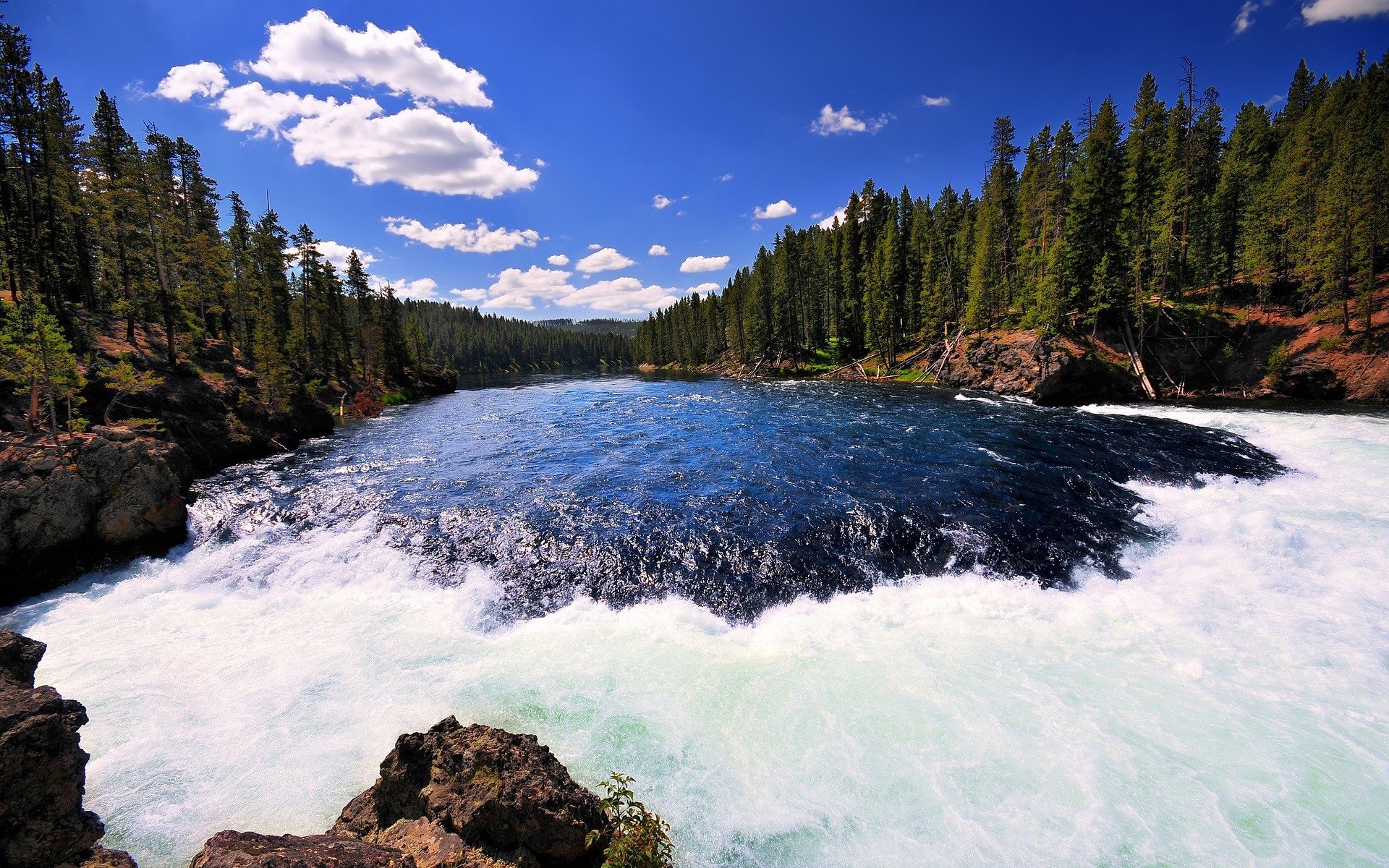 yellowstone river yellowstone national park rapid