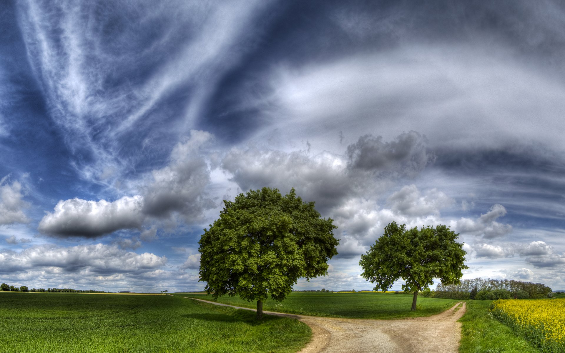 road the fork grass tree path selection sky beautiful the field hay