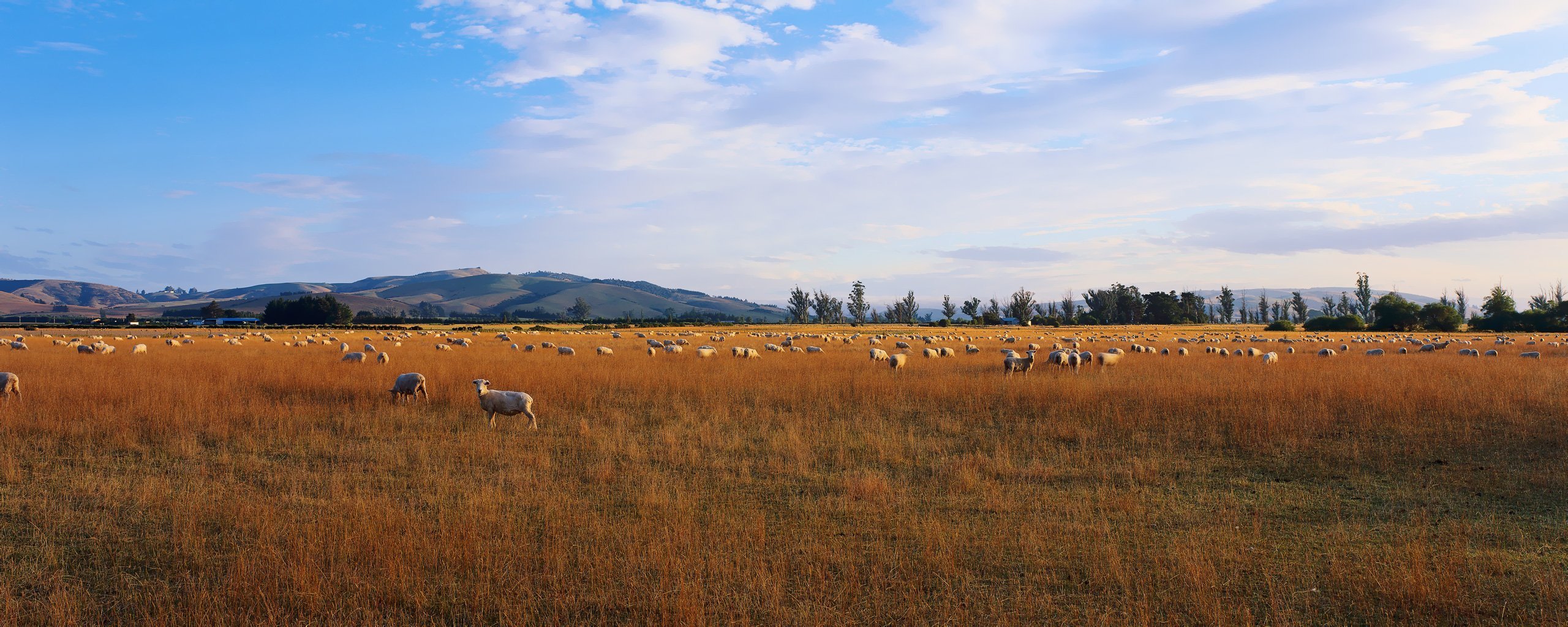 campo cielo nubes