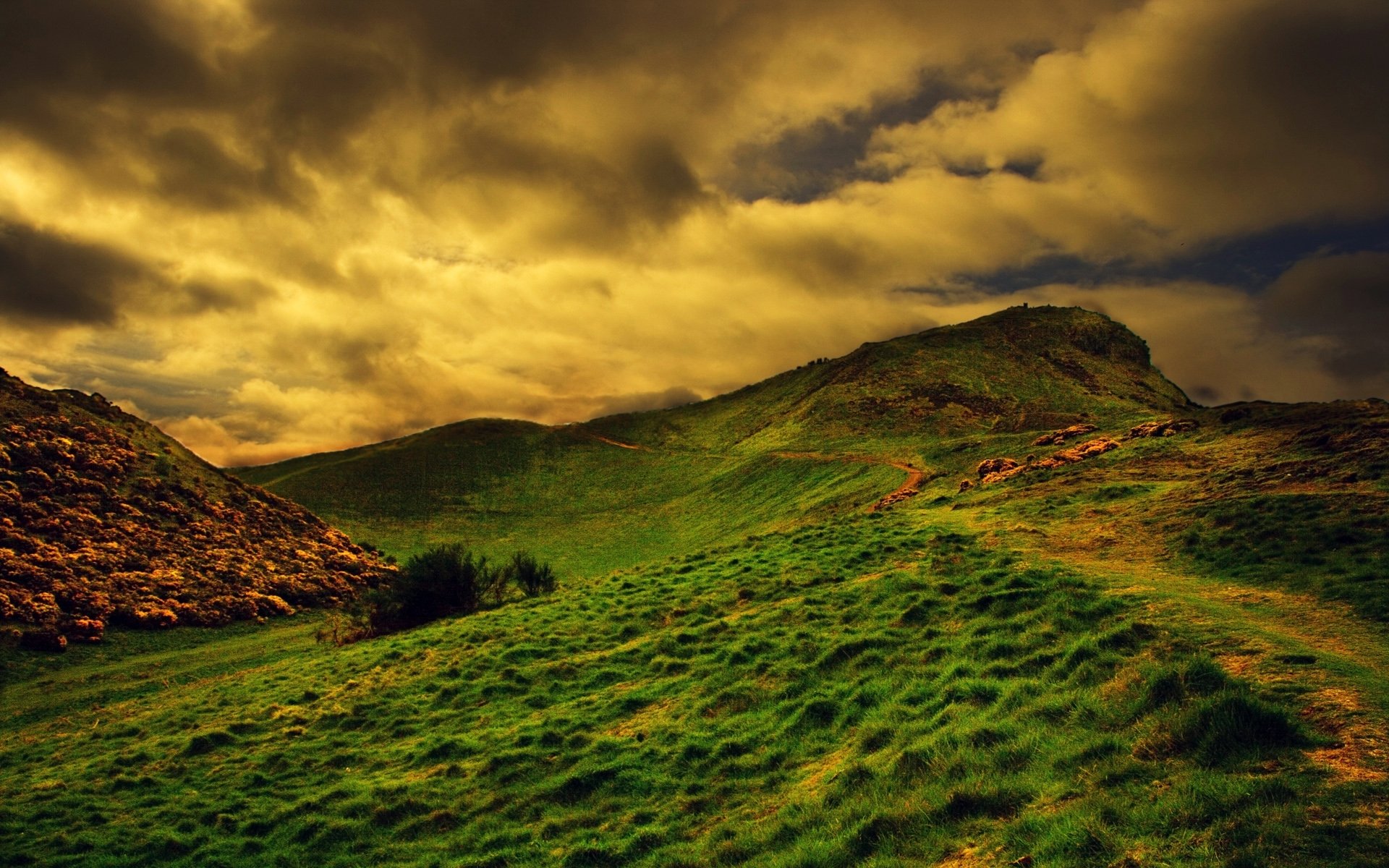 cielo erba paesaggio