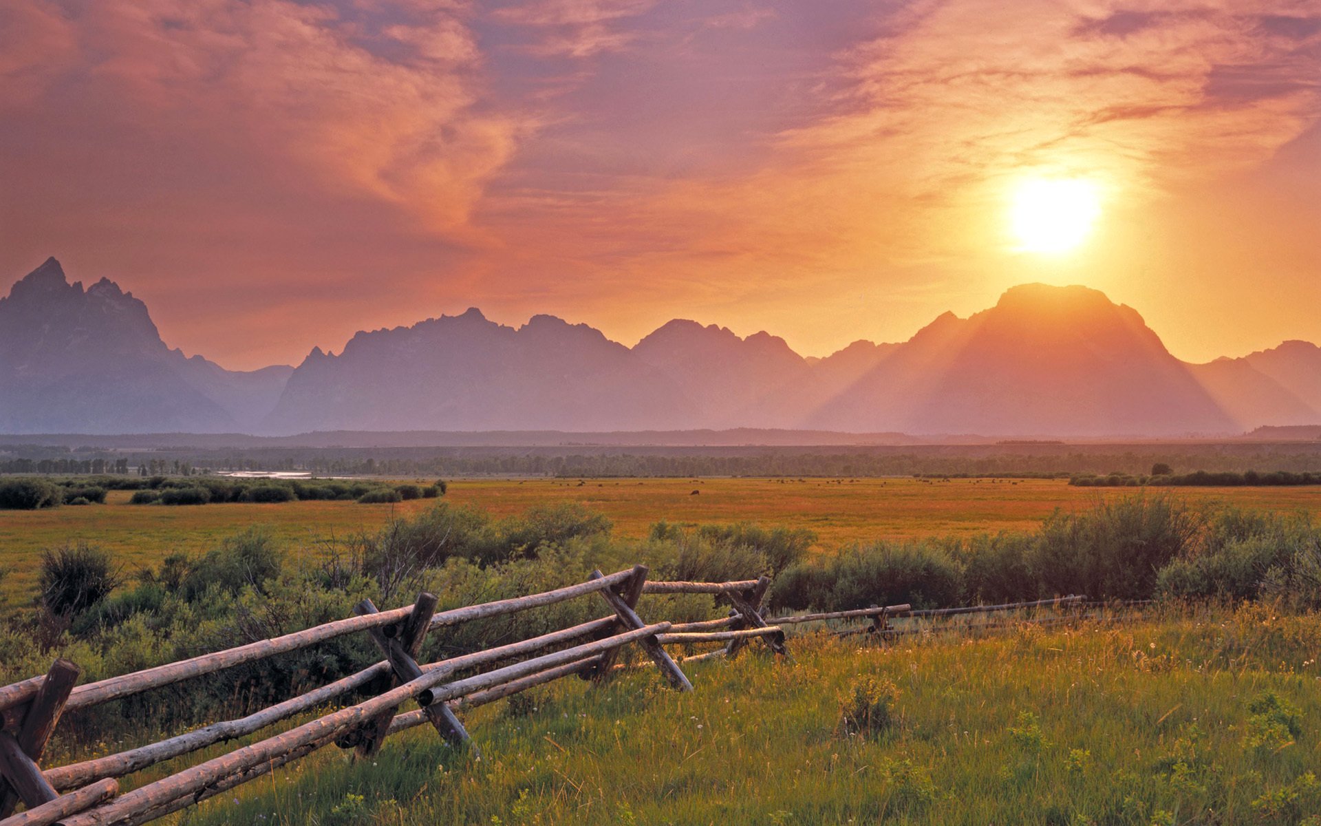 natur landschaft abend himmel pflanzen