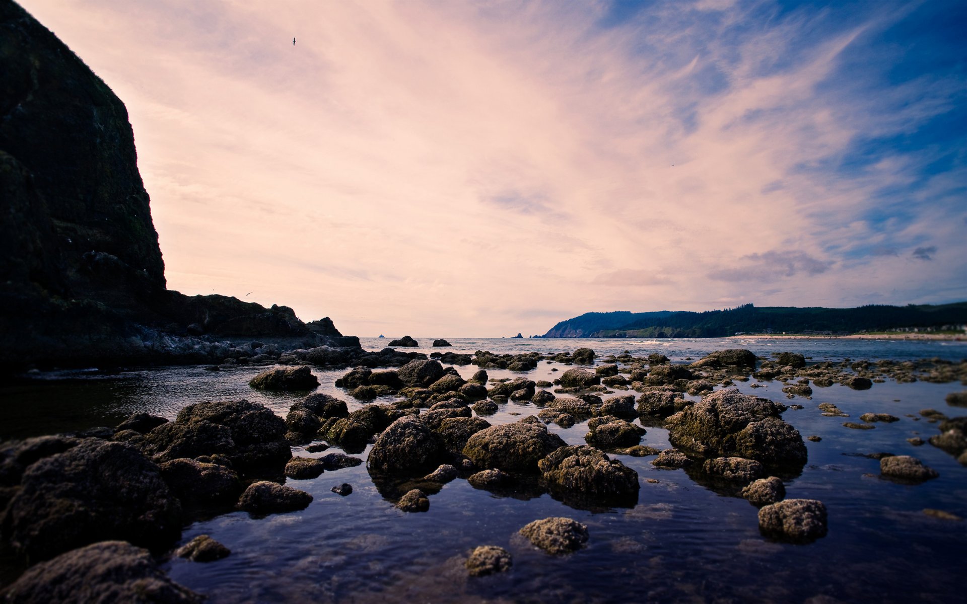 beach sea rock bird in the sky clouds landscape stone