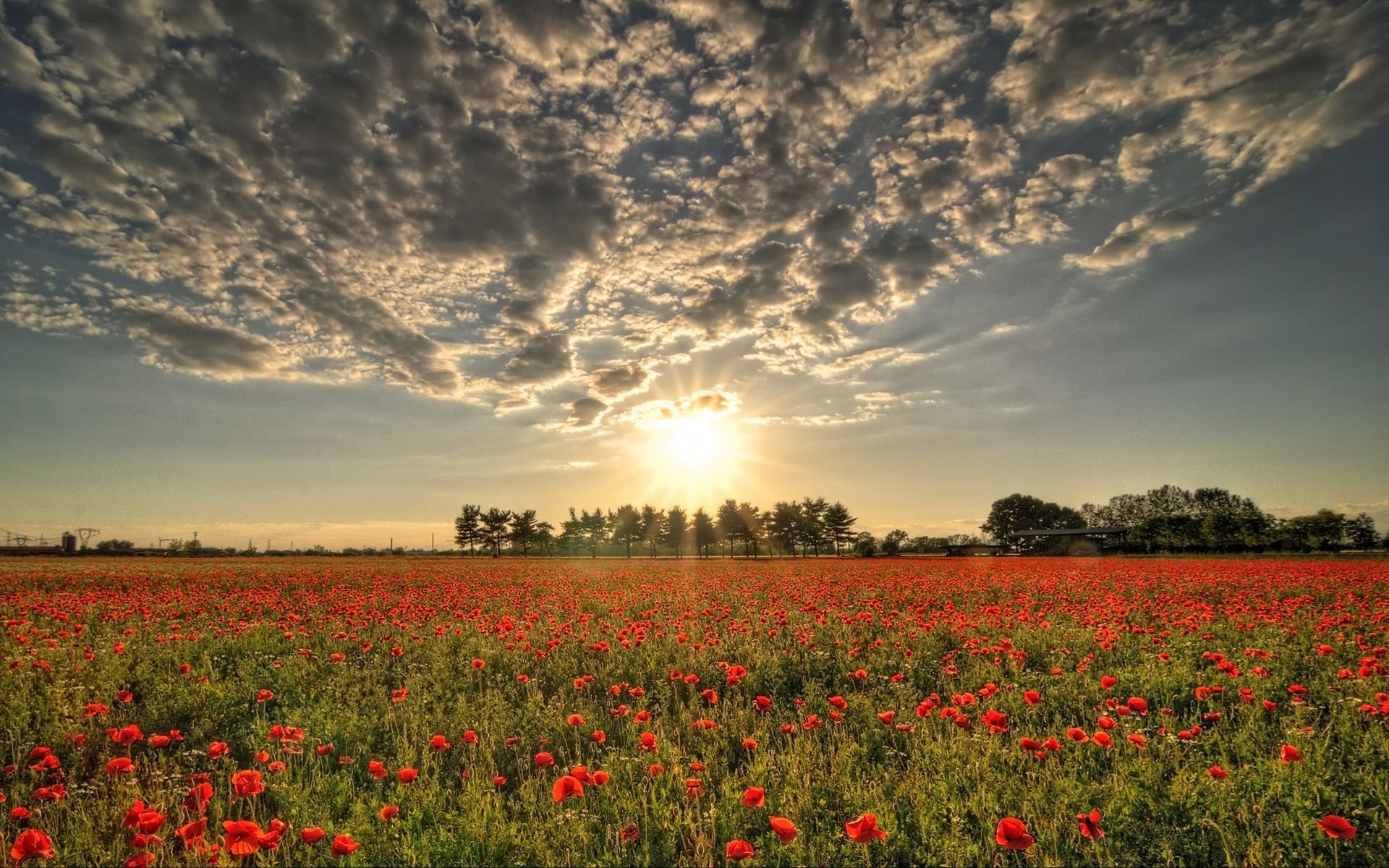 nuvole sole campo rosso papaveri