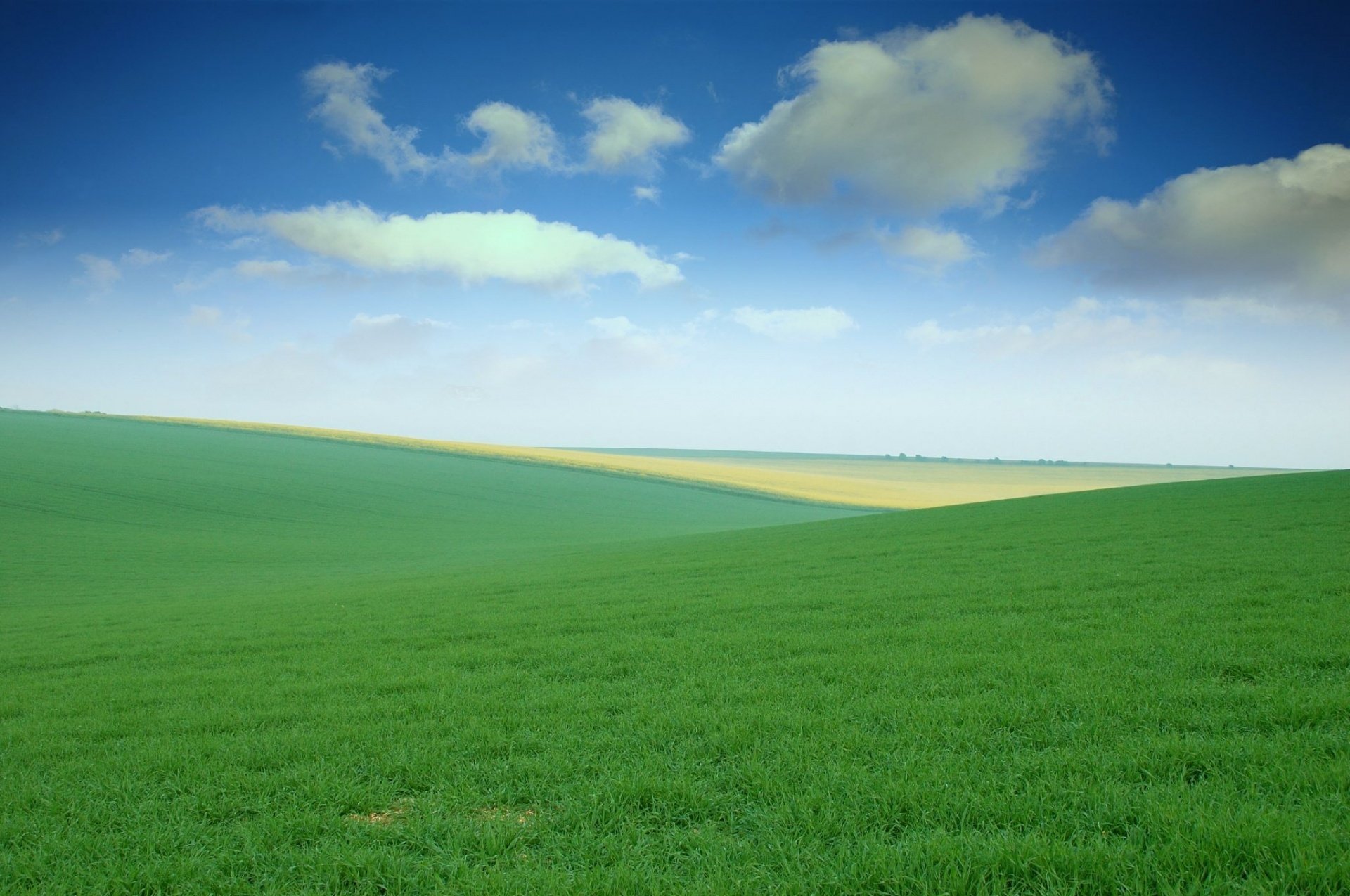 felder himmel gras wiesen weiten