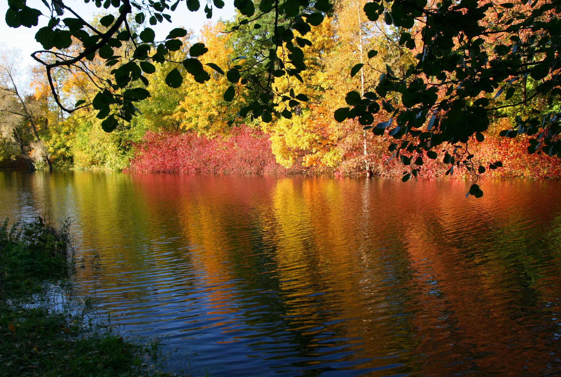 natur herbst fluss