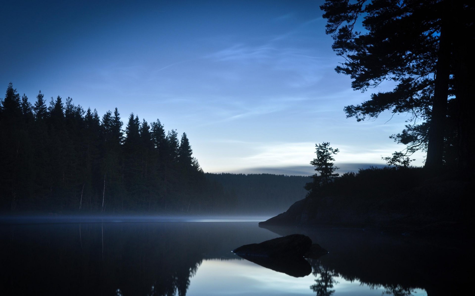 see bäume wald tag oder nacht