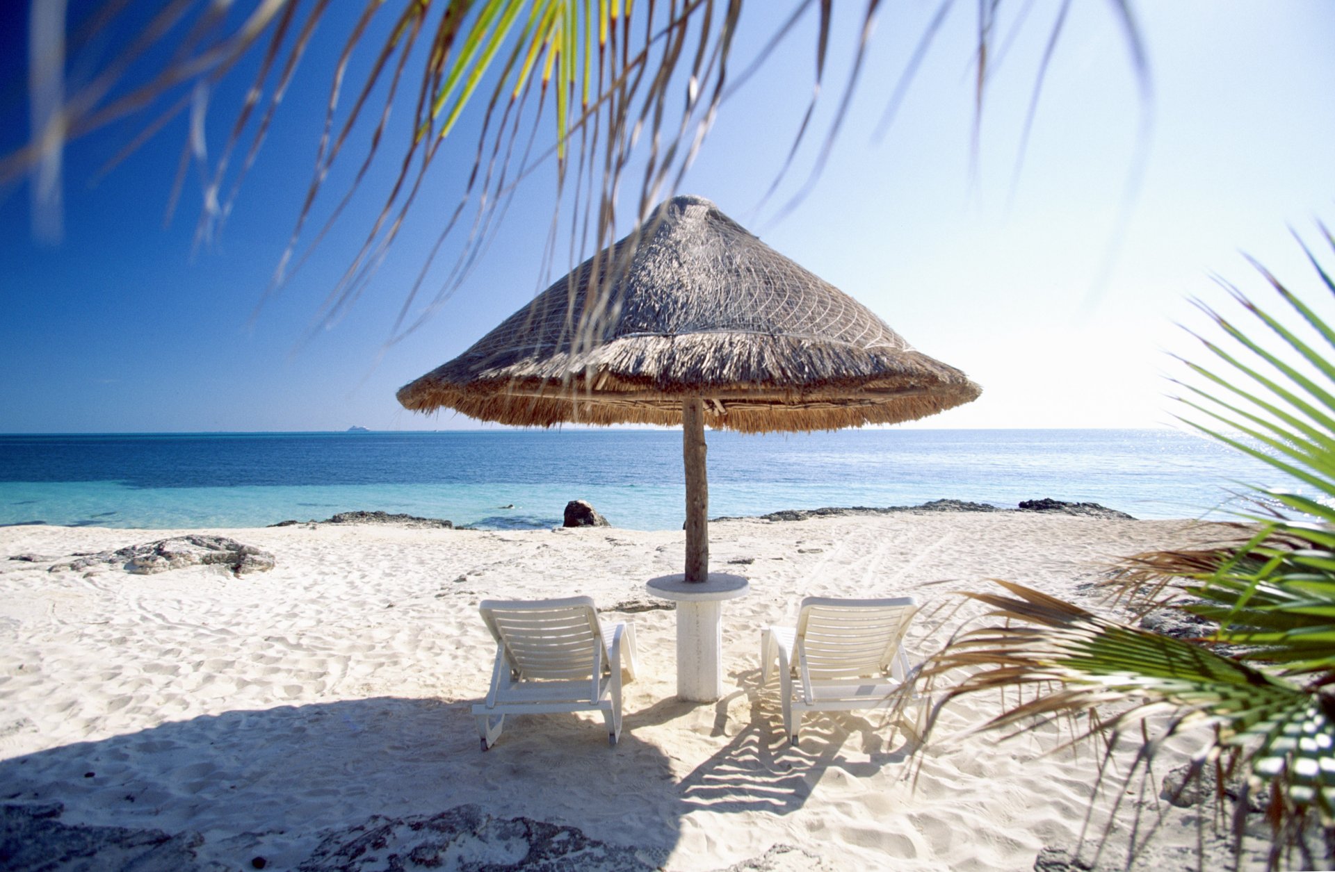 spiaggia sabbia palme