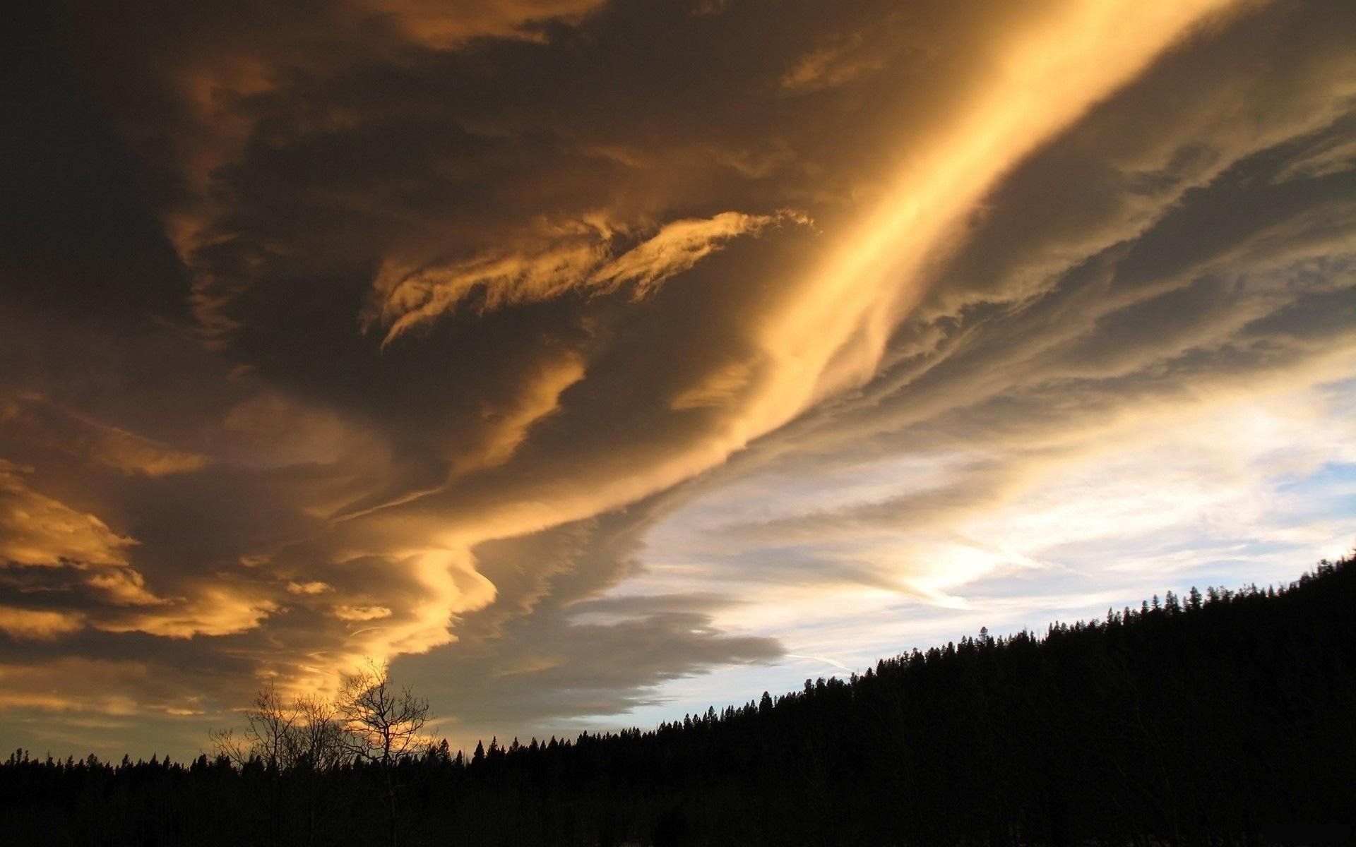 naturaleza bosque puesta de sol cielo nubes