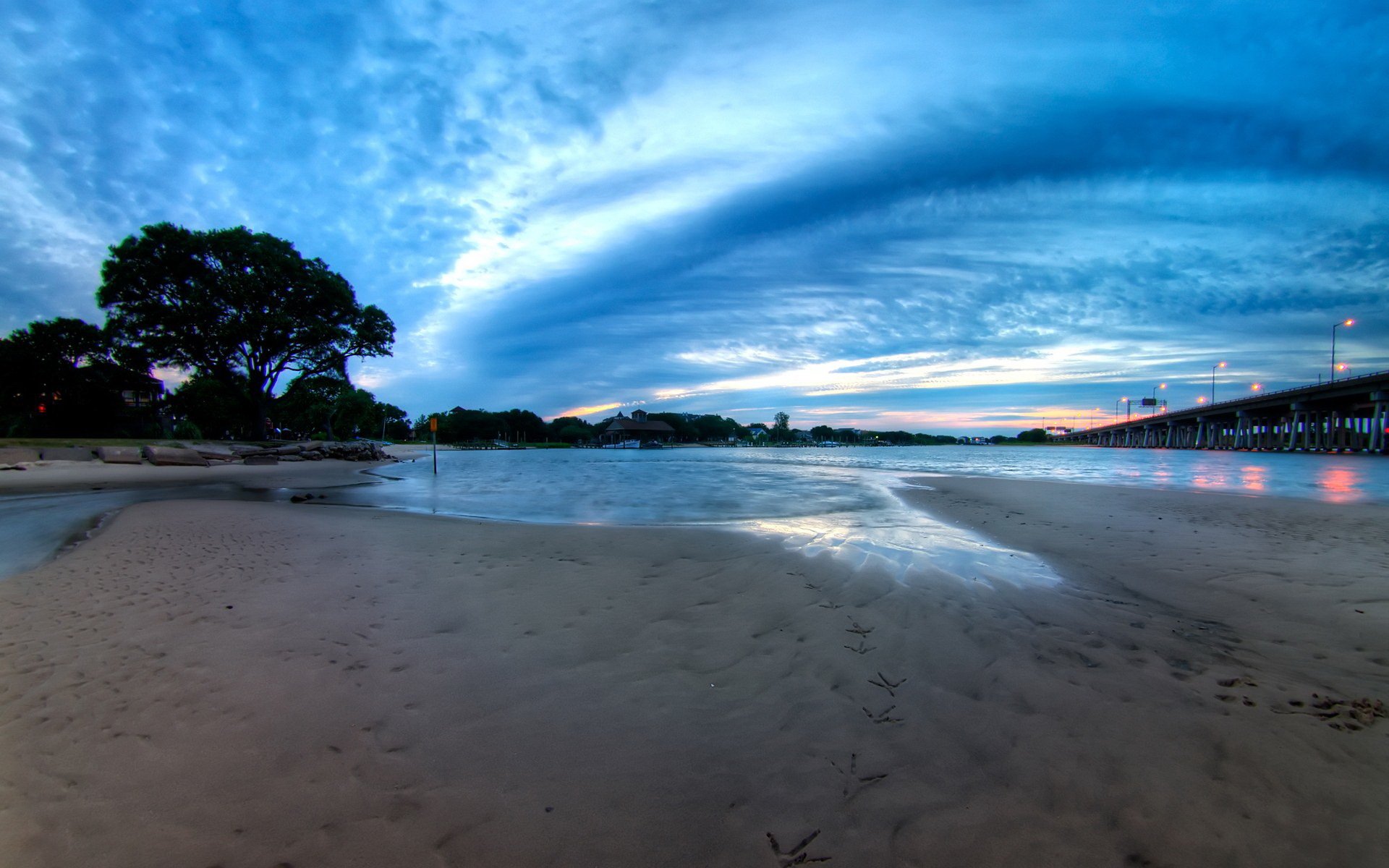 himmel baum sand spuren